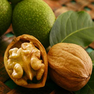 Орех грецкий морозоустойчивый. Орех грецкий морозоустойчивый.